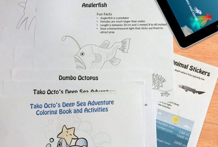 educational printouts